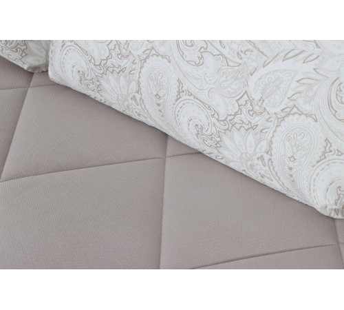 Диван-кровать Флеш-1 (вариант 1) Диван-кровать Флеш-1 (вариант 1)