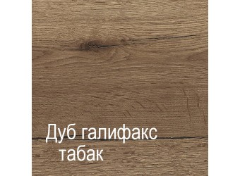 Двухстворчатый шкаф-купе для одежды Г-13 (ДГТ) Гарда с зеркалом